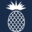 111dekovendriveapt802.com favicon